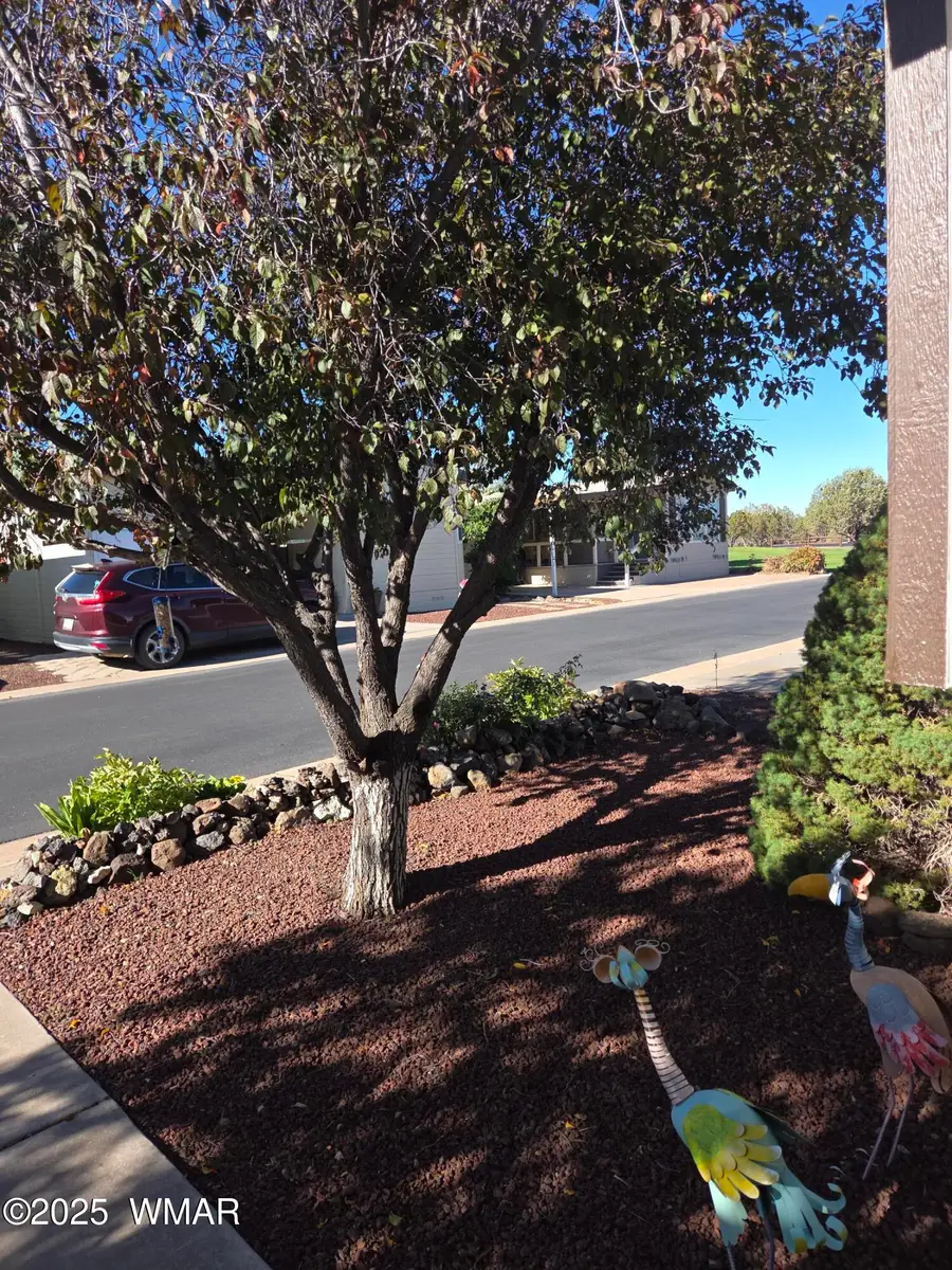 1909 Fairway Run, Show Low, AZ 85901 - #3