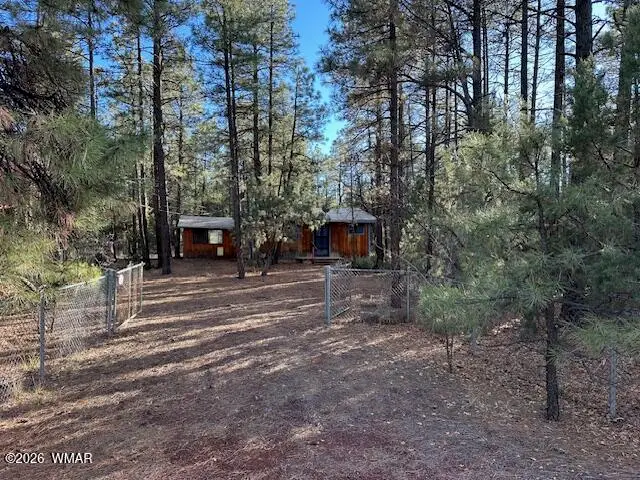 3343 Sunset Lane, Lakeside, AZ 85929 - #2