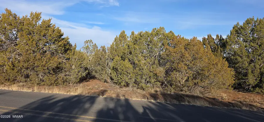 134 County Road 3148, Vernon, AZ 85940 - #2