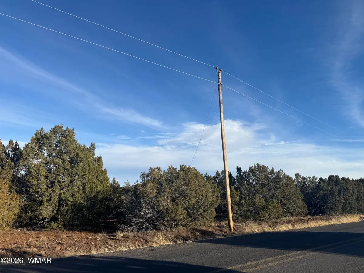 136 Acr 3148, Vernon, AZ 85940 - #1