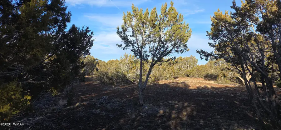 136 County Road 3148, Vernon, AZ 85940 - #3
