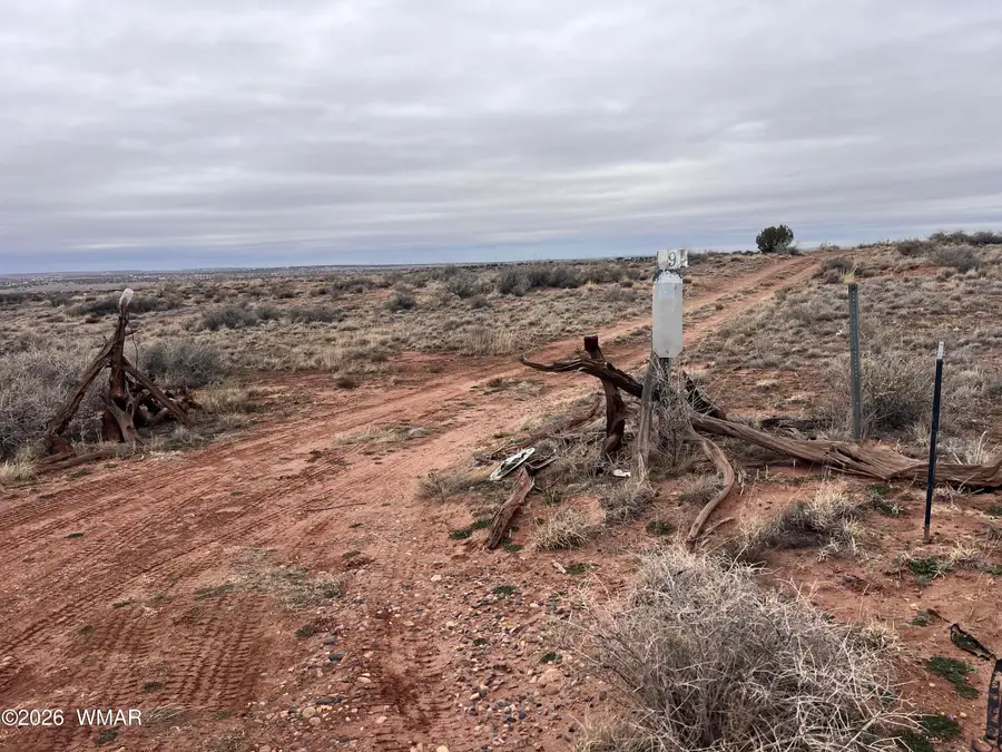 9594 Buckskin Trail, Snowflake, AZ 85937 - #3