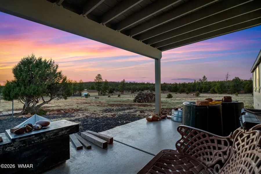 4096 Lonely Pine Lane, Overgaard, AZ 85933 - #2