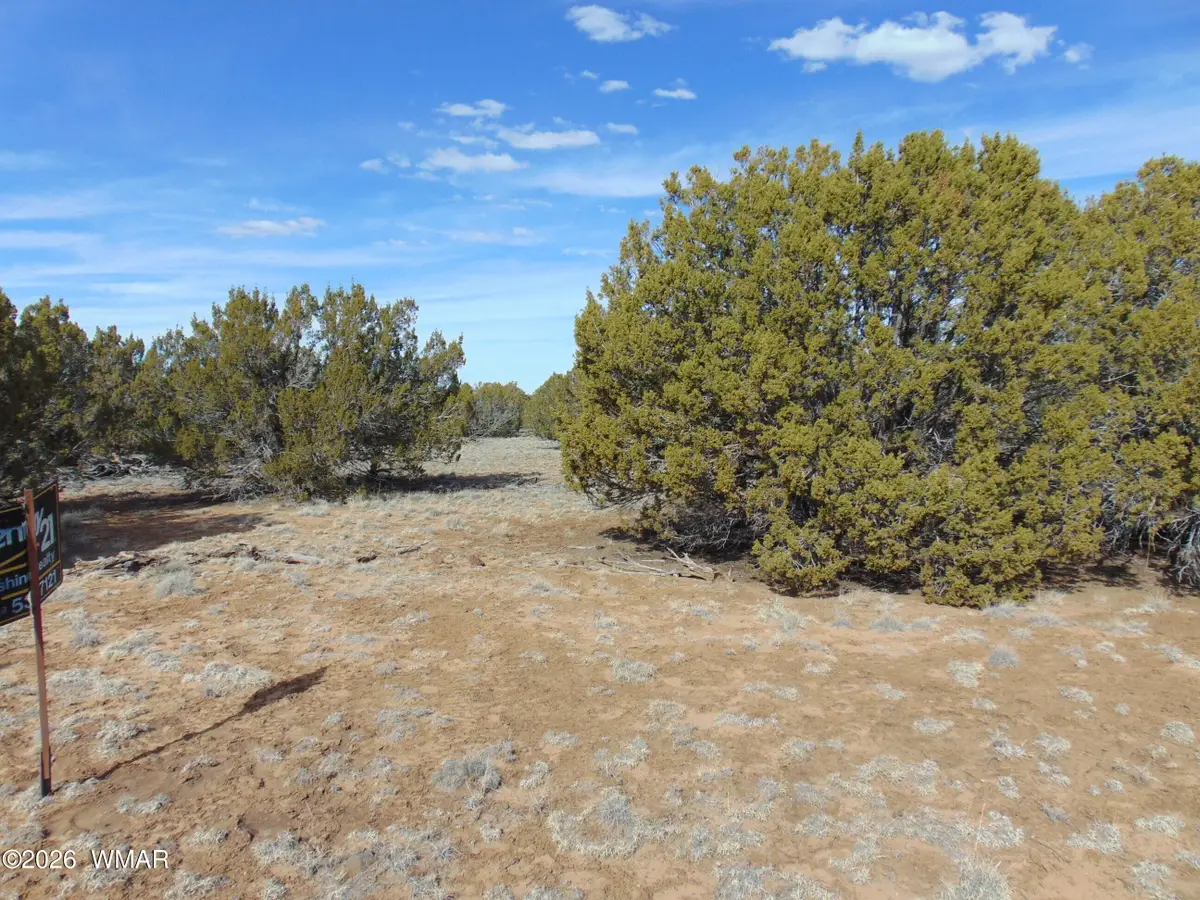 49 County Road, Vernon, AZ 85940 - #1