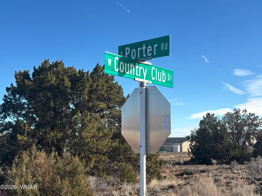 356 S Porter Road, Snowflake, AZ 85937 - #2