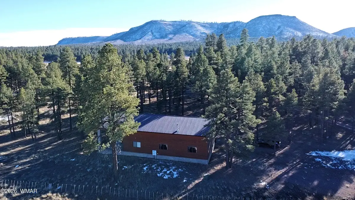 3 County Road N2261, Alpine, AZ 85920 - #1