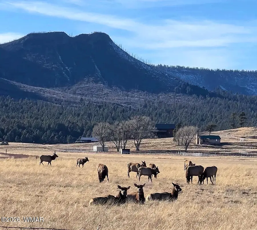 3 County Road N2261, Alpine, AZ 85920 - #3