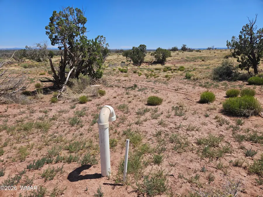 8290 El Rancho Trail, Snowflake, AZ 85937 - #3