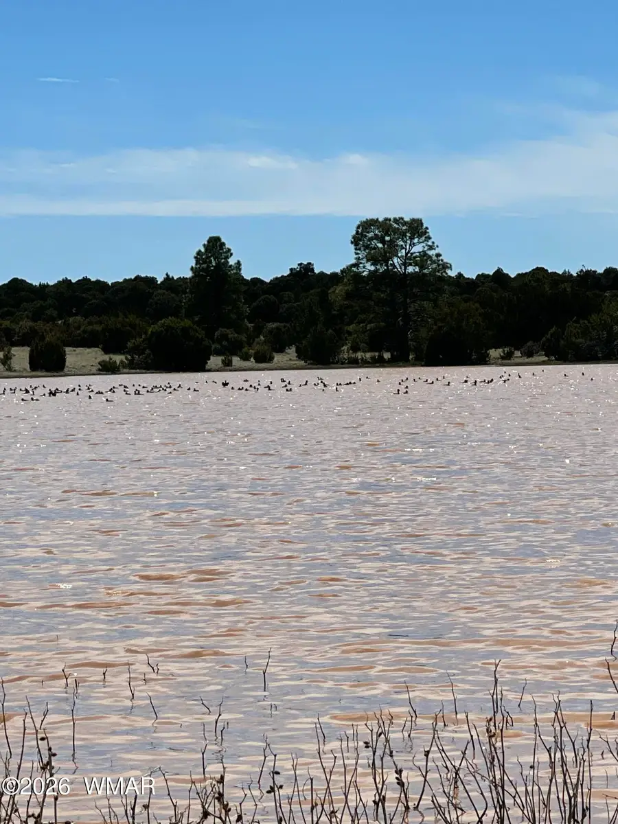 TBD N 40th Street, Show Low, AZ 85901 - #2