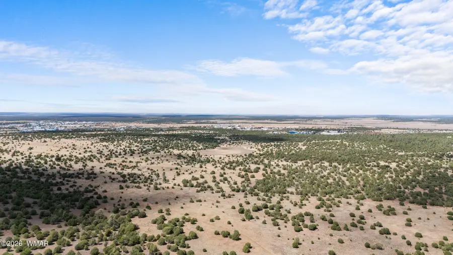 TBD N 40th Street, Show Low, AZ 85901 - #3