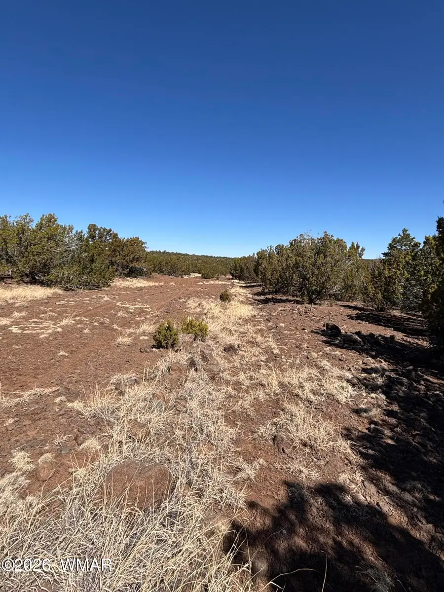19 County Road 8230, Concho, AZ 85924 - #2