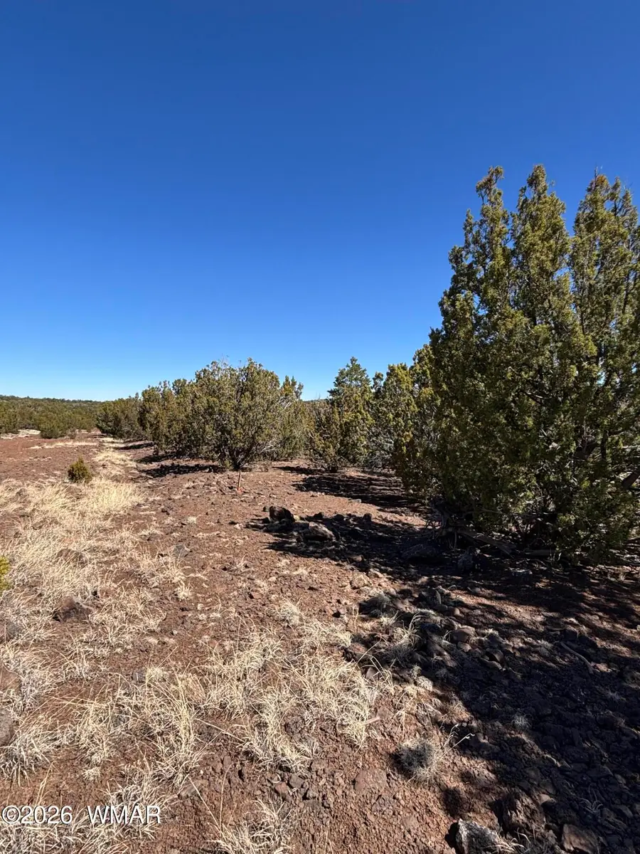 19 County Road 8230, Concho, AZ 85924 - #3