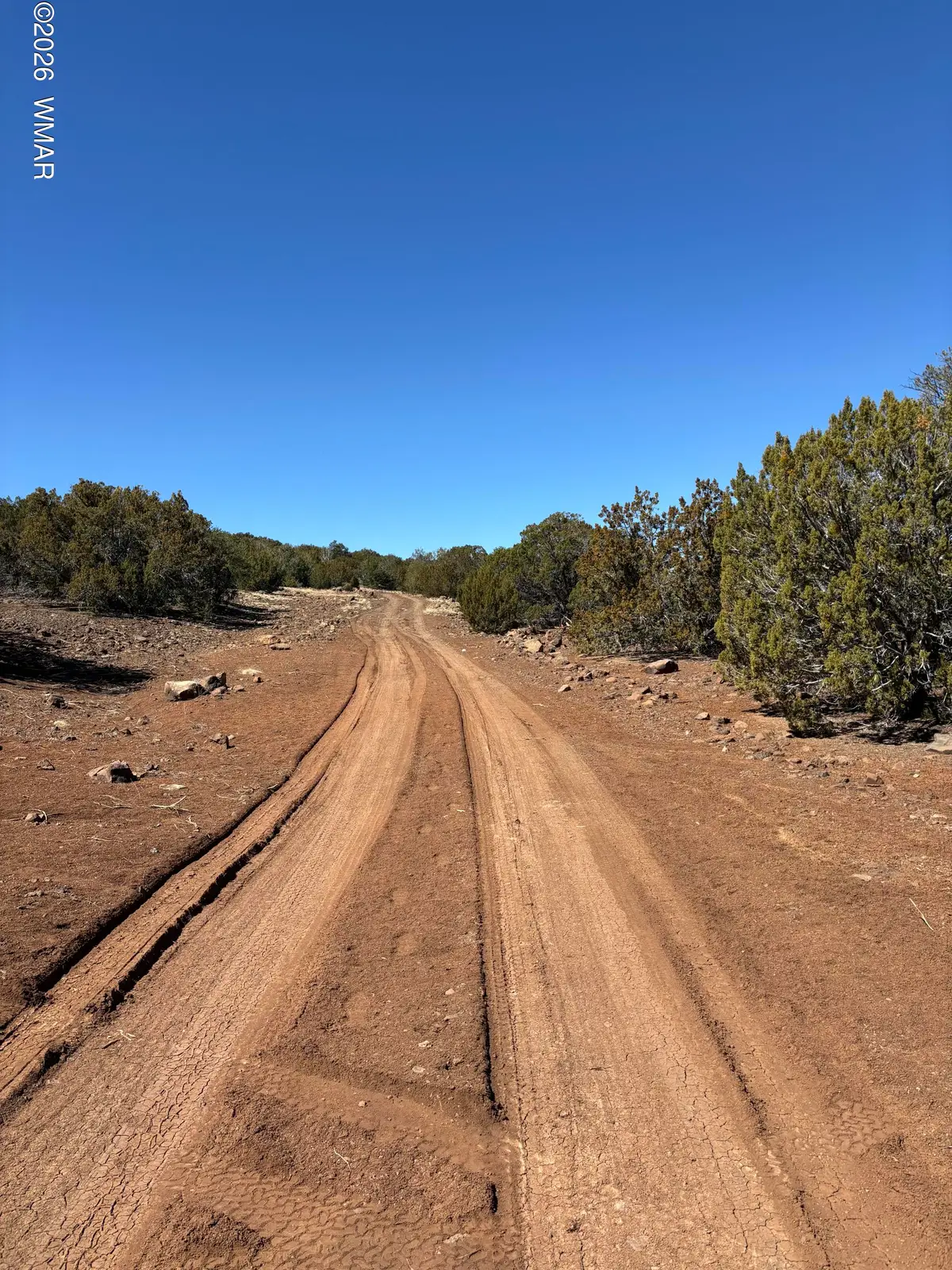 22 County Road 3048 Road, Concho, AZ 85924 - #1