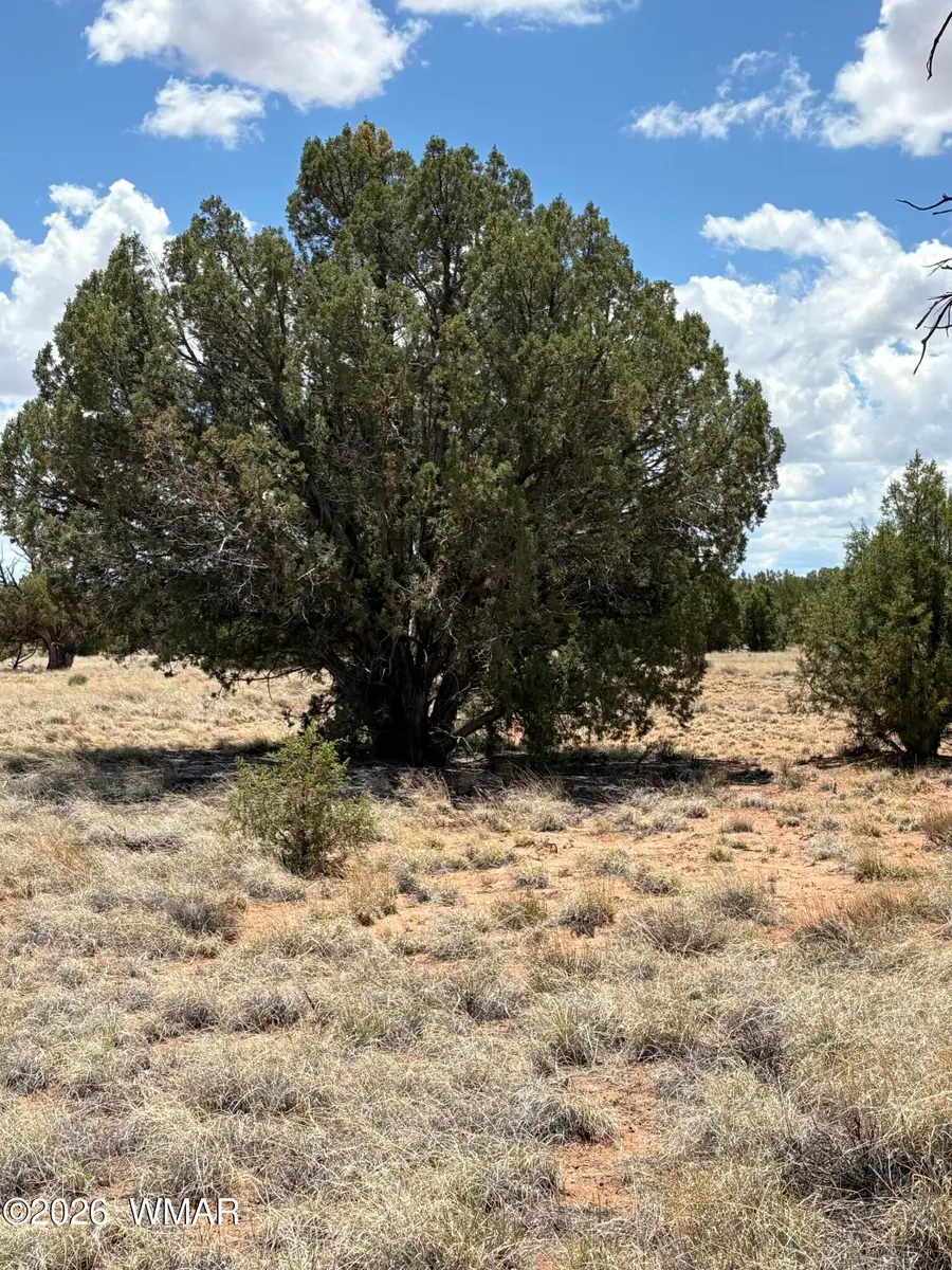 22 County Road 3048 Road, Concho, AZ 85924 - #2