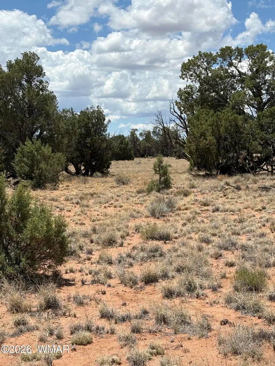 22 County Road 3048 Road, Concho, AZ 85924 - #3