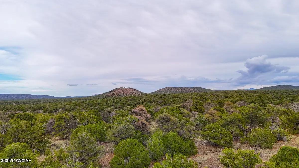 132 E Sidewinder Road, Williams, AZ 86046 - #1