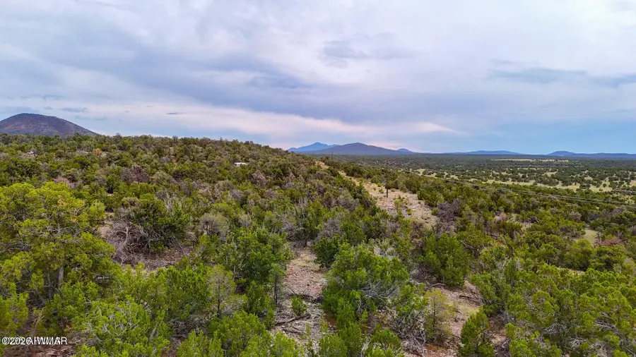 132 E Sidewinder Road, Williams, AZ 86046 - #2