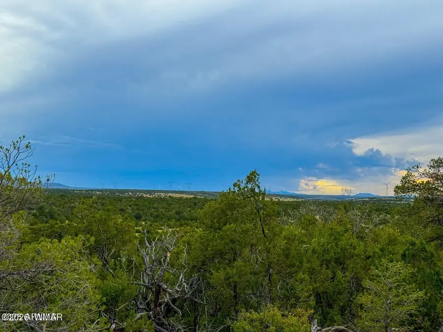 132 E Sidewinder Road, Williams, AZ 86046 - #3