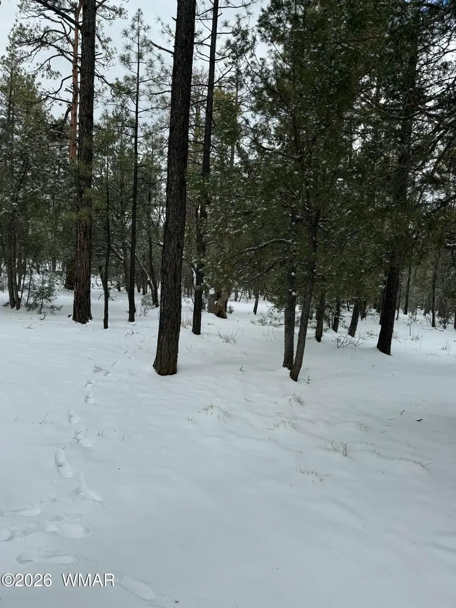 1370 W Paradise Lane, Lakeside, AZ 85929 - #2