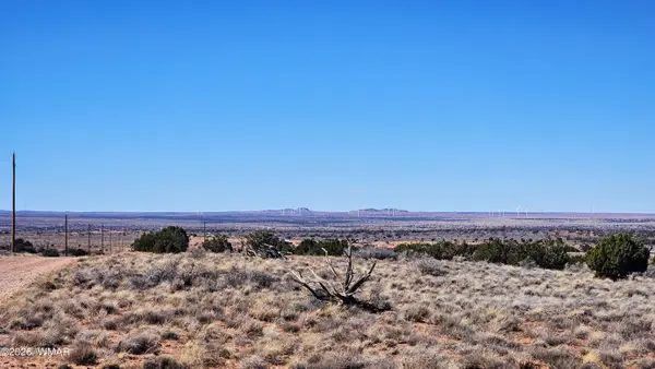 8334 Rockin R Ranch Trail, Snowflake, AZ 85937