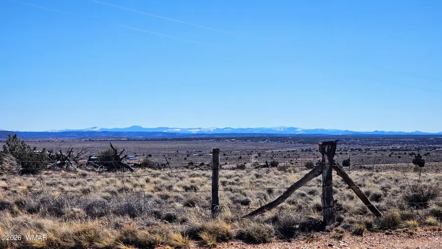 8334 Rockin R Ranch Trail, Snowflake, AZ 85937 - #2