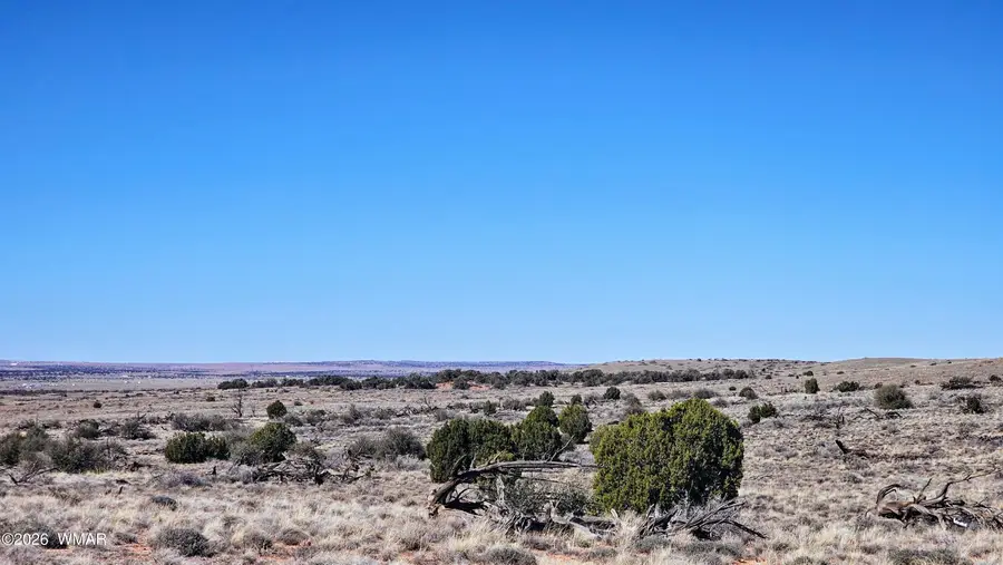 8334 Rockin R Ranch Trail, Snowflake, AZ 85937 - #3