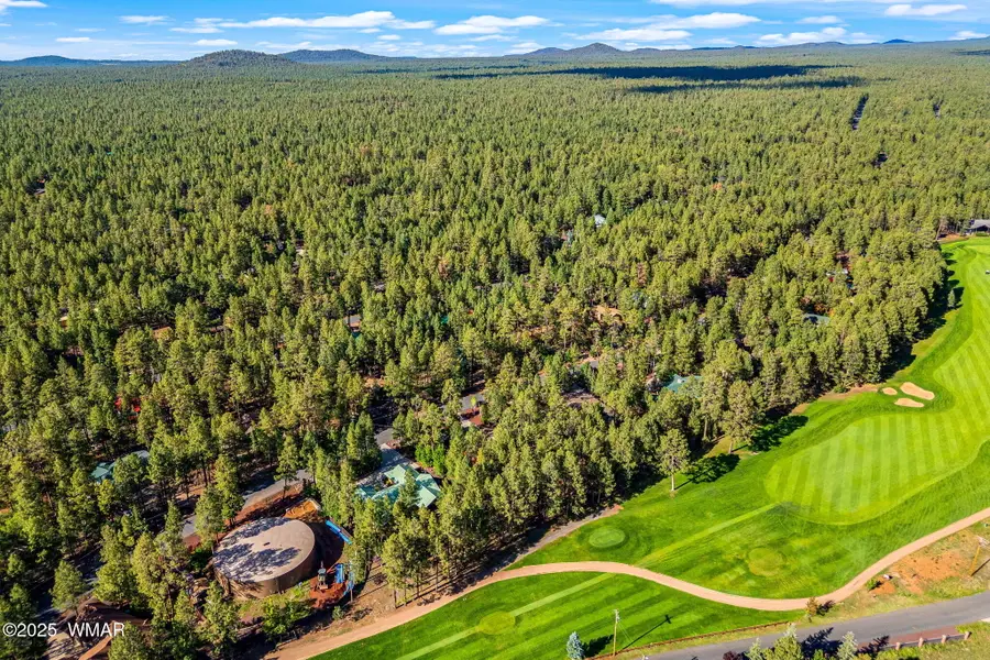 6597 Buck Springs Road, Pinetop, AZ 85935 - #2