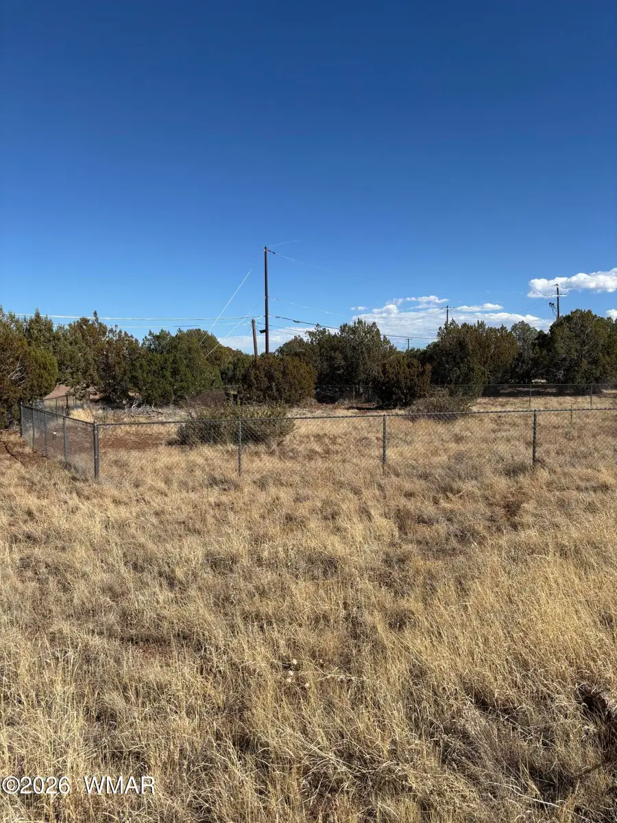 8263 Tahoe Place, Show Low, AZ 85901 - #3