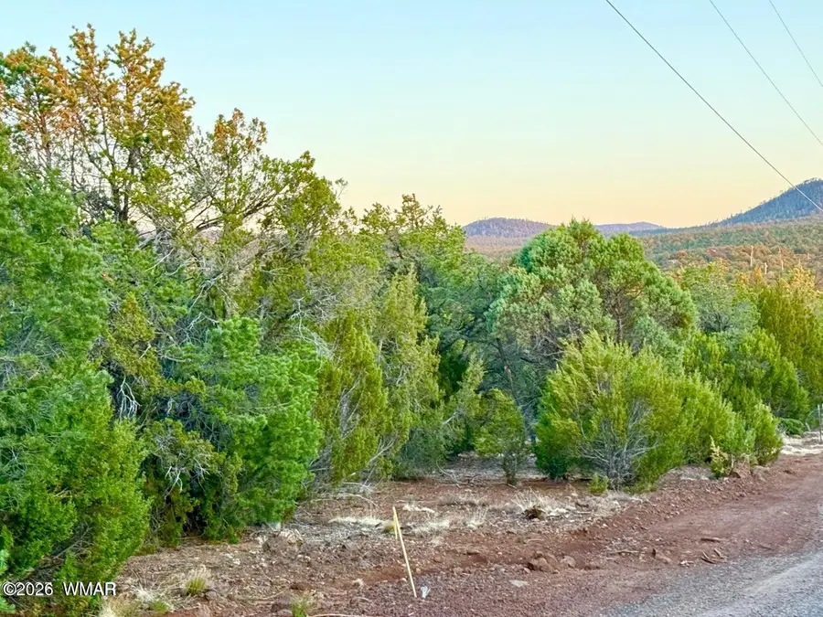 6 Co Rd 3086 1.15 Acres, Vernon, AZ 85940 - #2