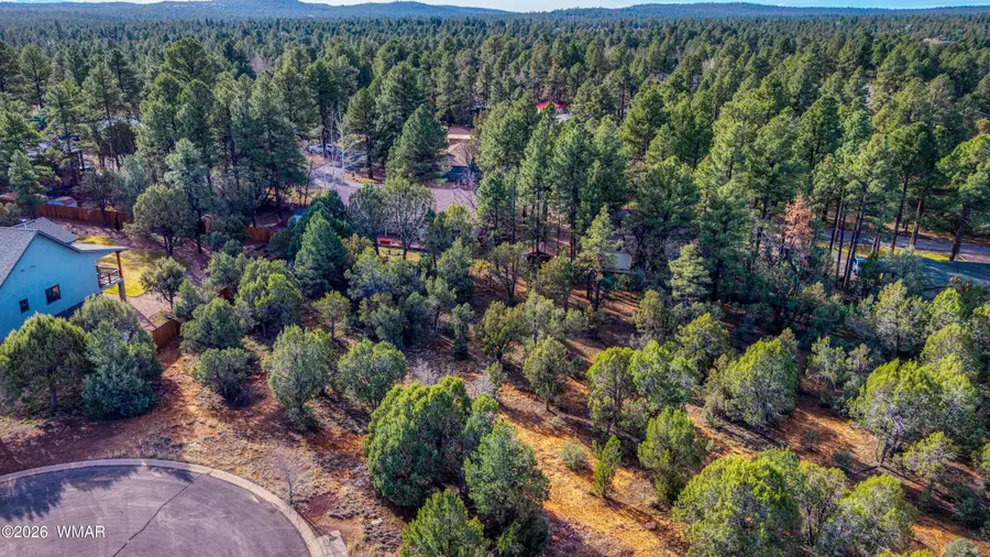 1280 N Fairway Lane, Show Low, AZ 85901 - #2