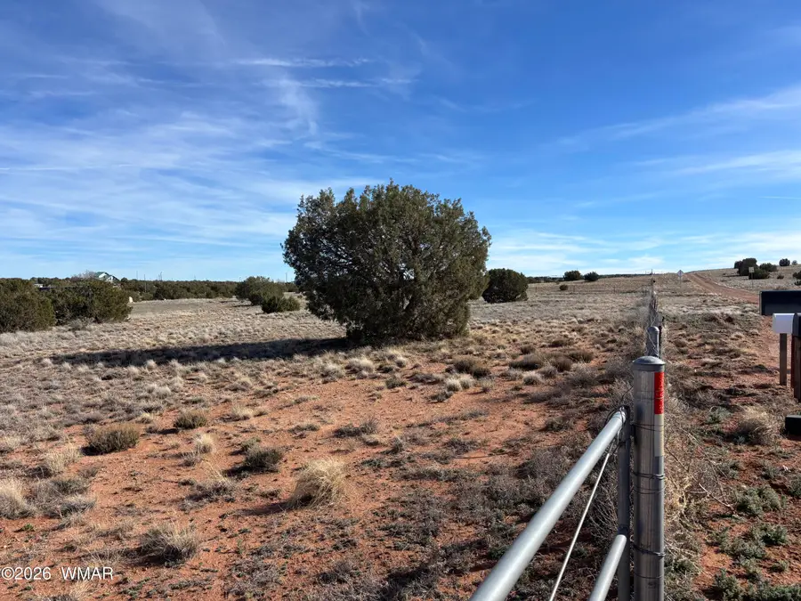 9681 E Concho Highway, Snowflake, AZ 85937 - #3