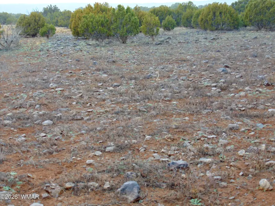 196 County Road 8206, Concho, AZ 85924 - #3
