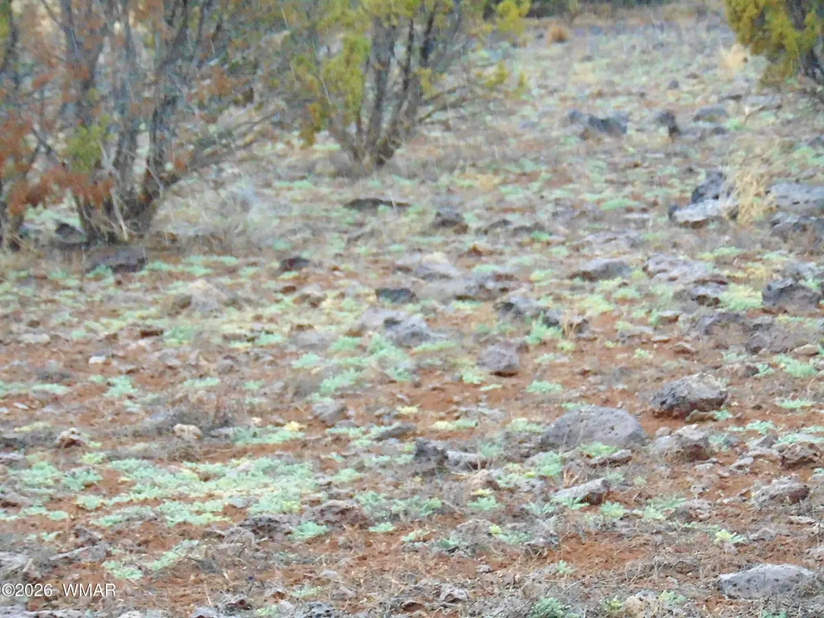 15 Mills, Concho, AZ 85924 - #1