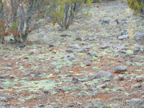 15 Mills, Concho, AZ 85924