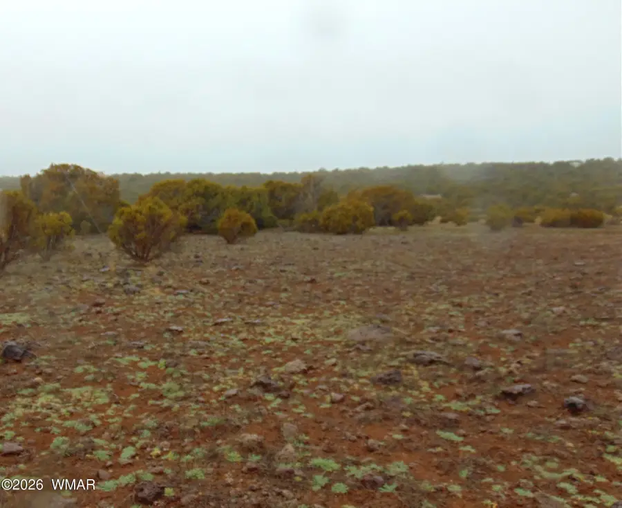 15 Mills, Concho, AZ 85924 - #3