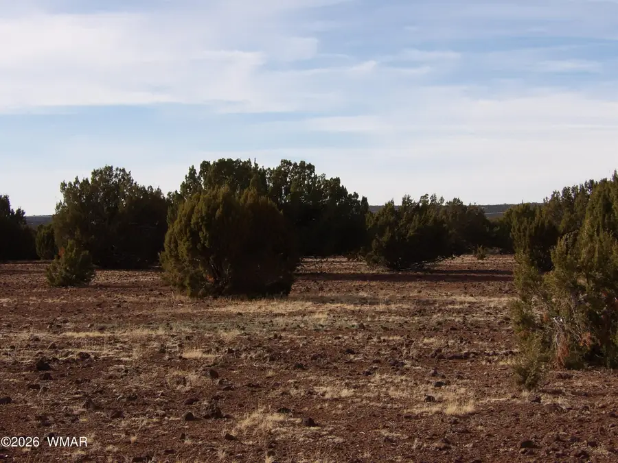 Lot 14B N3411, Vernon, AZ 85940 - #3