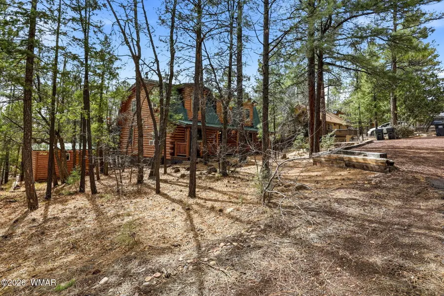 4893 Big Pine Drive, Lakeside, AZ 85929 - #3