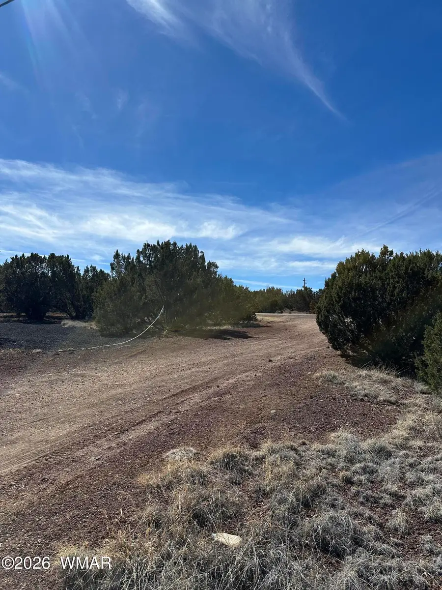 1780 Shad Place, Show Low, AZ 85901 - #2