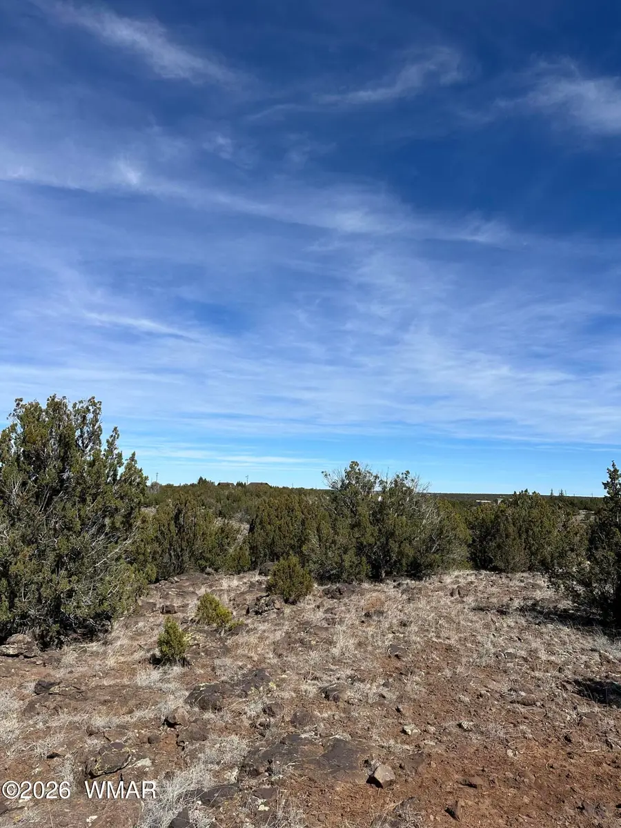 1780 Shad Place, Show Low, AZ 85901 - #3