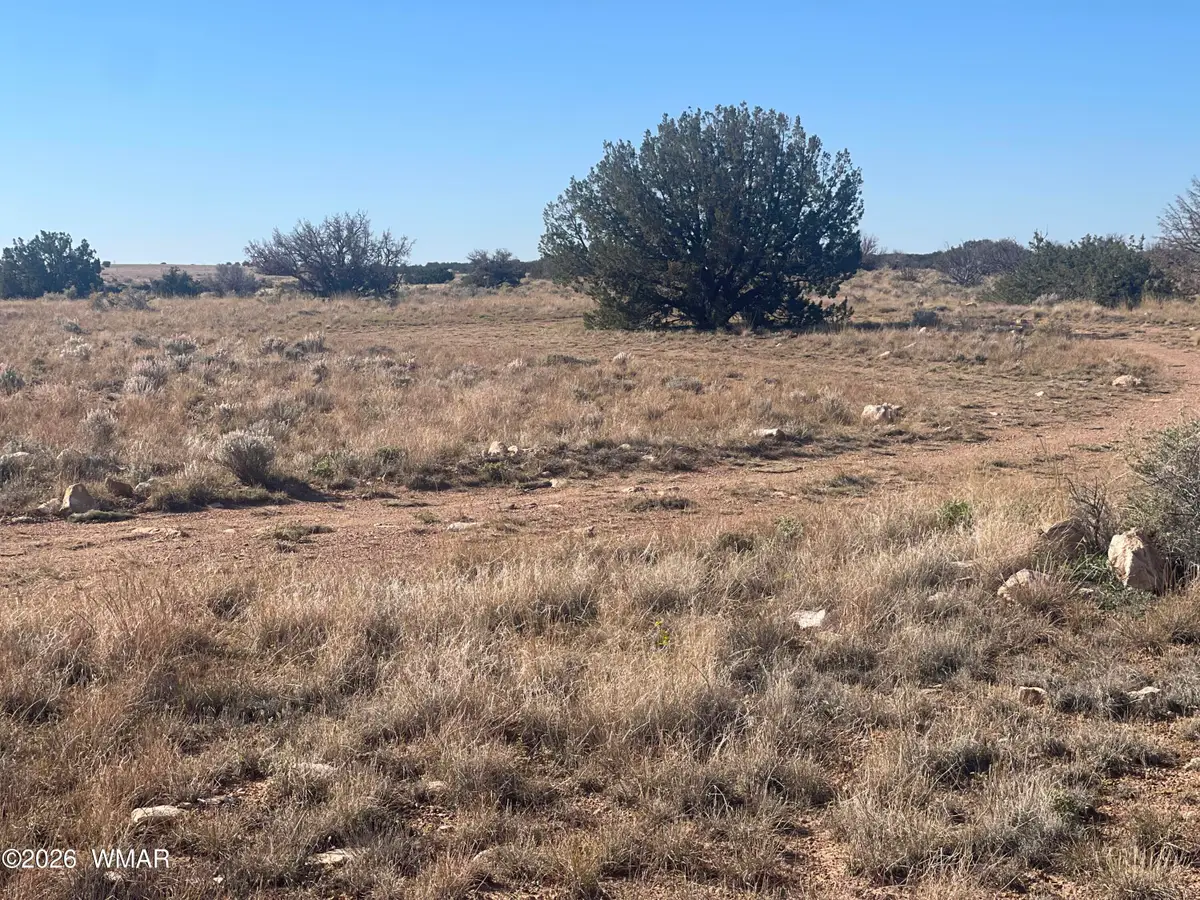 1515 Pumpkin Patch, Heber, AZ 85928 - #1