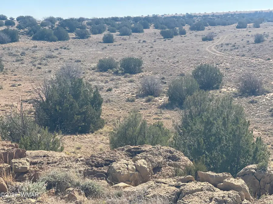 1515 Pumpkin Patch, Heber, AZ 85928 - #2