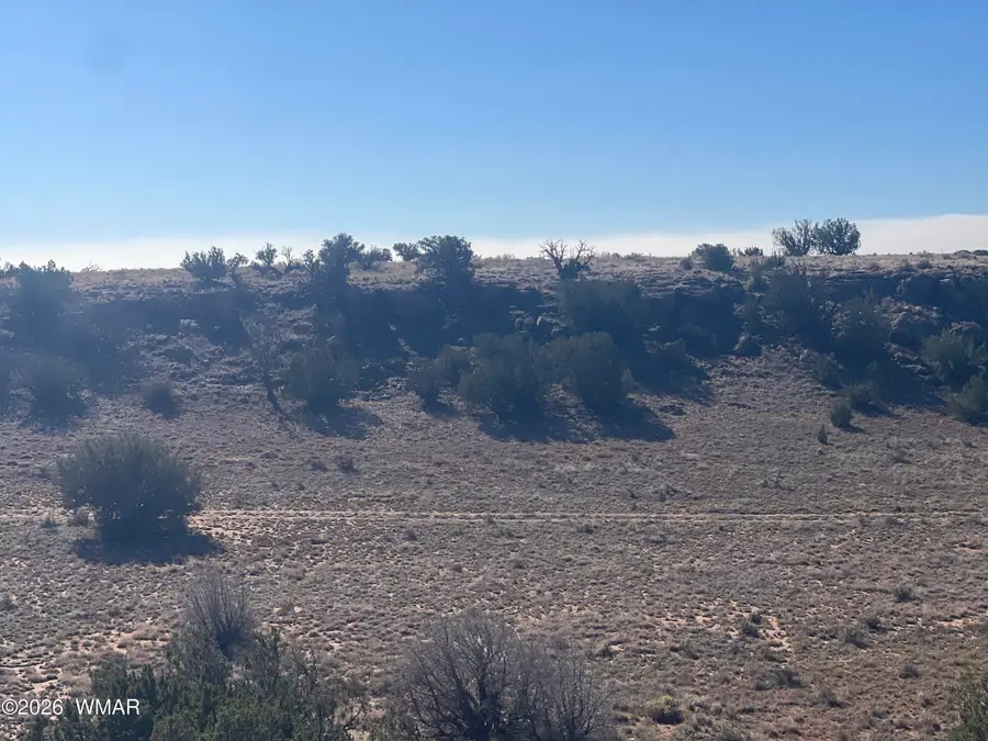 1515 Pumpkin Patch, Heber, AZ 85928 - #3