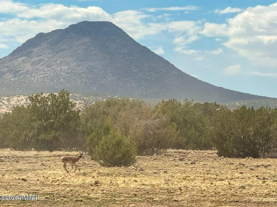 0 W Mile High Rd Lot C 10 Acres, Seligman, AZ 86337 - #3