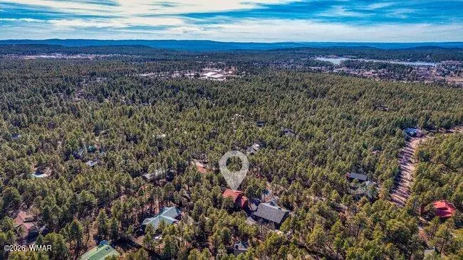 1541 N Blue Grass Ranch Drive, Lakeside, AZ 85929 - #2