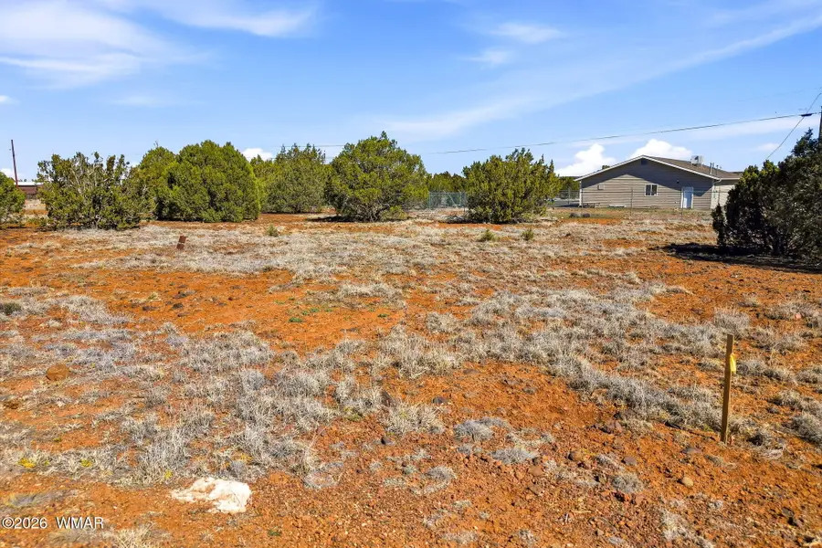 8396 Bear Meadow Drive, Show Low, AZ 85901 - #3