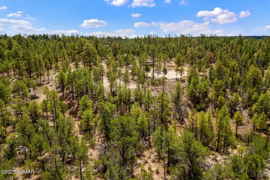 2975 Canary Lane, Heber, AZ 85928 - #2