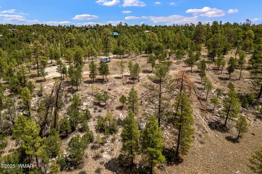 2975 Canary Lane, Heber, AZ 85928 - #3