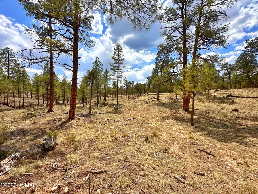 PAR 007H Chevelon Rd, Heber, AZ 85928 - #2