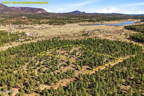 TBD N2147, Alpine, AZ 85920