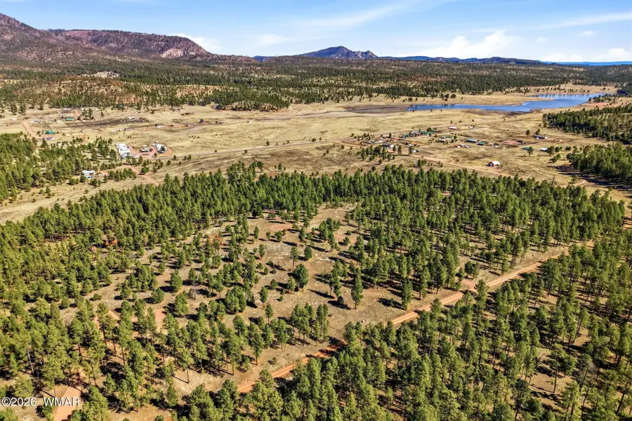 TBD N2147, Alpine, AZ 85920 - #3